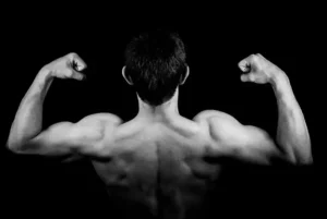 muscle building peptide supplements