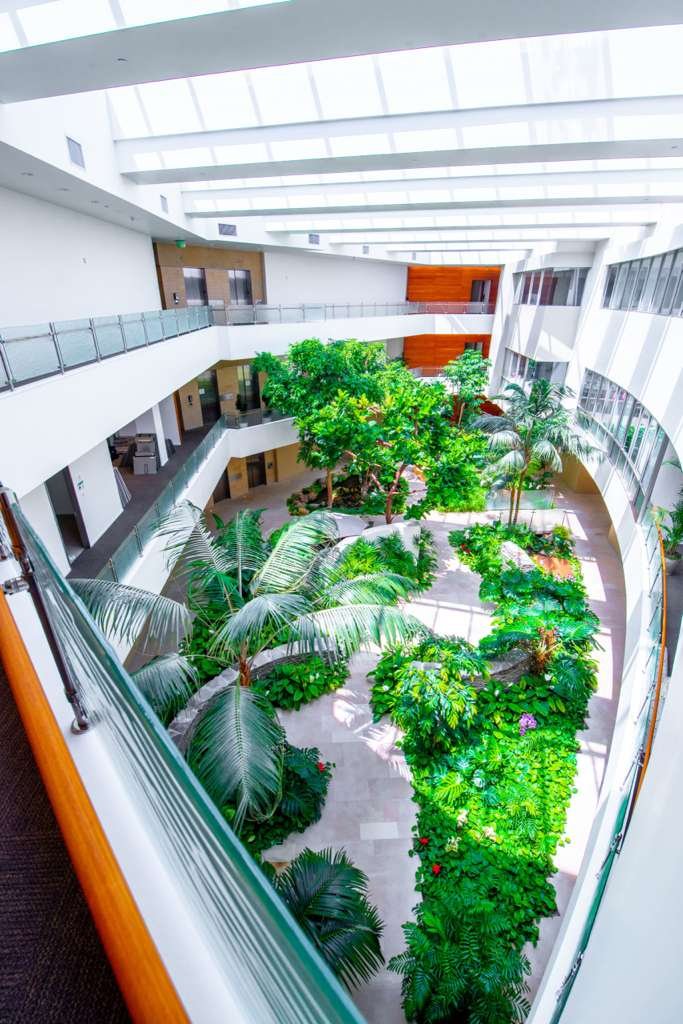 Garden atrium inside the Evolve Healthcare building in Calabasas