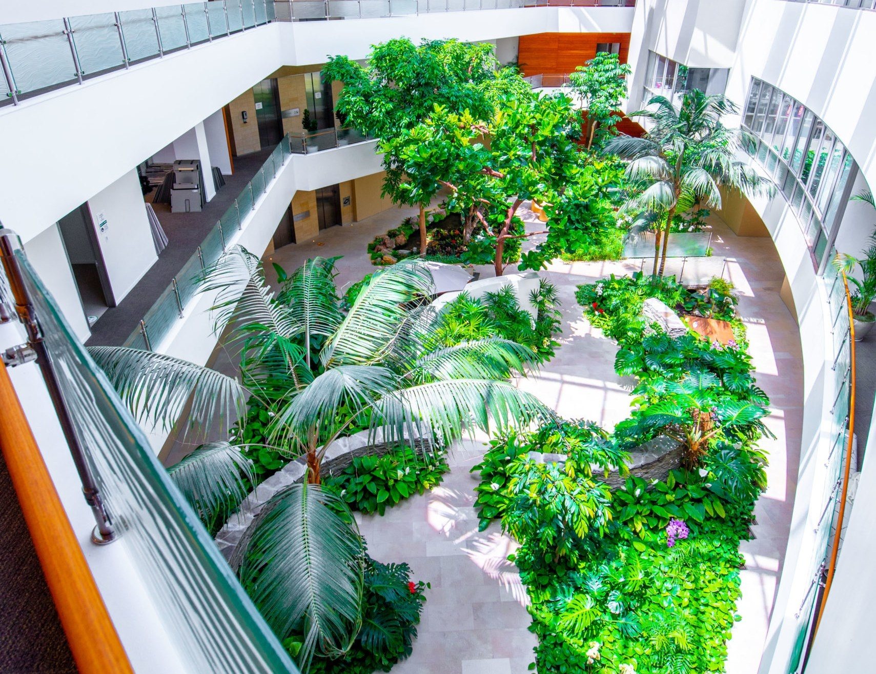 Garden atrium inside the Evolve Healthcare building